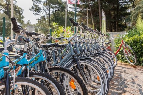 Fila de bicicletas de alquiler en Camping Le Bois de la Gachère, un parque vacacional en Pays de la Loire.