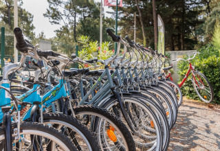 Row of rental bicycles at Camping Le Bois de la Gachère, a holiday park in Pays de la Loire, France.