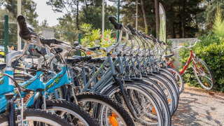 Række af cykler til leje i sollys ved Camping Le Bois de la Gachère, en feriepark i Pays de la Loire.