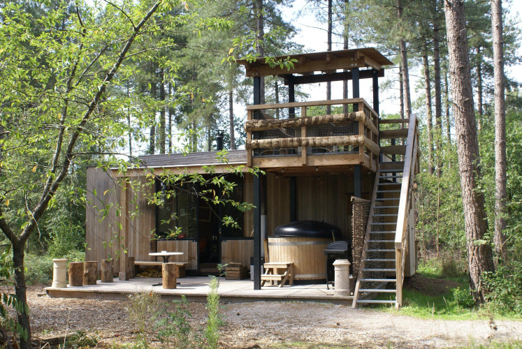 Foto der Treetrunk-Lodge mit Außenwhirlpool, Terrasse und Aussichtsplattform im Wald in Limburg, Belgien.