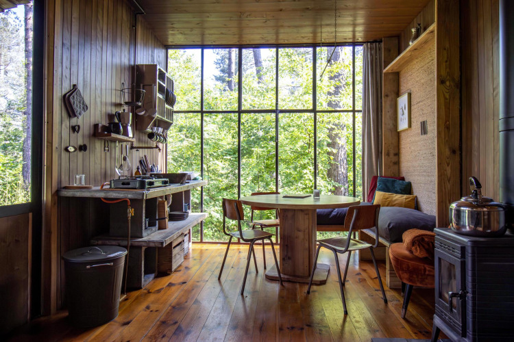 Rustic glamping cabin interior with wood paneling, large windows, cozy kitchen, dining area, and forest view.