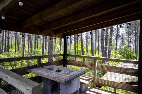 Covered lodge balcony with a rustic wooden table, bench, net railing, and views of a surrounding pine forest.