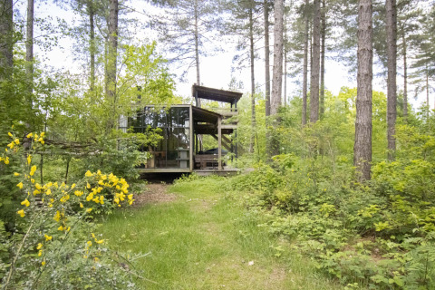Treetrunk lodge con paredes de cristal y jacuzzi en el bosque de Limburg, Bélgica.