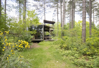 Treetrunk lodge con paredes de cristal y jacuzzi en el bosque de Limburg, Bélgica.