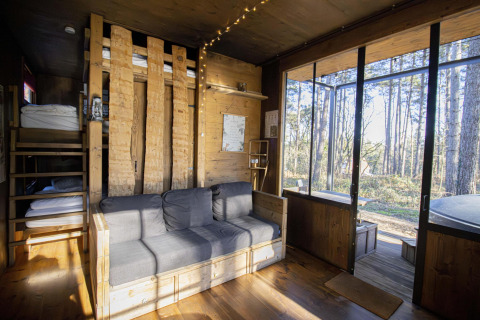 Intérieur d'une cabane confortable avec lits superposés, canapé gris et grandes fenêtres sur la forêt de Limbourg.