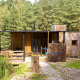 Water cabin e vasca idromassaggio di Cosy Cabins nella foresta di Limburg, Belgio, immersa nel verde.