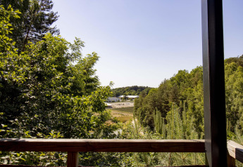 Vista da una baita con terrazza in legno circondata da foresta a Limburg, Belgio, in una giornata soleggiata.