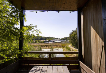 Vista dalla Water cabin con vasca idromassaggio da Cosy Cabins nella foresta di Limburg, Belgio, su natura e fattoria.
