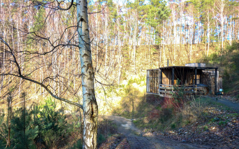 Cabaña con jacuzzi en el bosque en Cosy Cabins, Limburg, Bélgica, rodeada de árboles y naturaleza.
