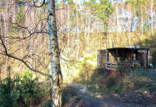 Cabaña con jacuzzi en el bosque en Cosy Cabins, Limburg, Bélgica, rodeada de árboles y naturaleza.