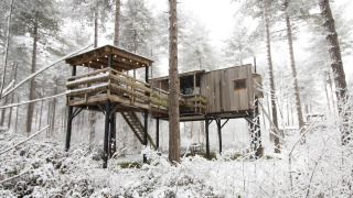 Boomhut met terras en sneeuw in het bos, Treetop + hot tub bij Cosy Cabins in Limburg, België.