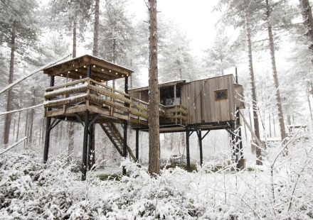Boomhut met terras en sneeuw in het bos, Treetop + hot tub bij Cosy Cabins in Limburg, België.