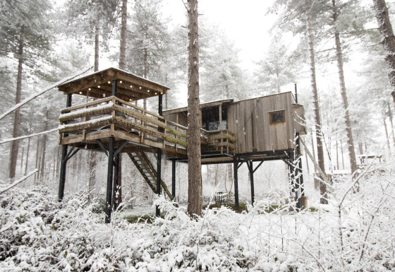 Boomhut met terras en sneeuw in het bos, Treetop + hot tub bij Cosy Cabins in Limburg, België.