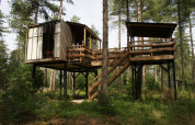 Een moderne boomhut op palen omgeven door hoge pijnbomen in een weelderig groen bos, vanaf de grond gezien.