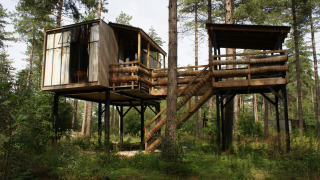Een moderne boomhut op palen omgeven door hoge pijnbomen in een weelderig groen bos, vanaf de grond gezien.