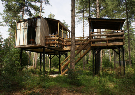 Een moderne boomhut op palen omgeven door hoge pijnbomen in een weelderig groen bos, vanaf de grond gezien.