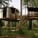 Et moderne træhus på stylter omgivet af høje træer i en grøn skov, set fra jorden om dagen.