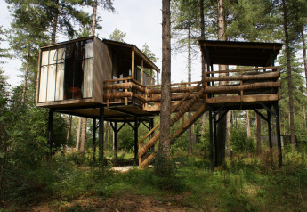 Et moderne træhus på stylter omgivet af høje træer i en grøn skov, set fra jorden om dagen.