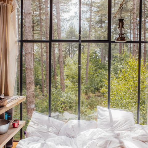 Vue depuis une cabane perchée confortable avec de grandes fenêtres sur la forêt à Limbourg, Belgique.