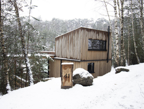 Comfort Sweet cabin with hot tub in the snowy forest of Limburg, Belgium, surrounded by birch trees.