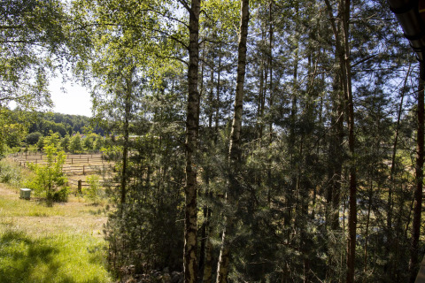 Vista desde la cabaña Comfort Sweet con jacuzzi en Cosy Cabins, bosque de Limburgo, Bélgica, viendo praderas.