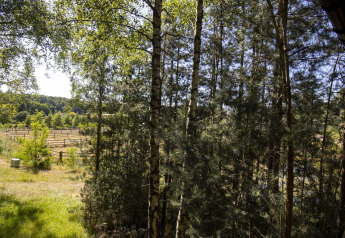 Vista dalla cabina Comfort Sweet con vasca idromassaggio ai Cosy Cabins nella foresta di Limburg, Belgio, pascoli visibili.