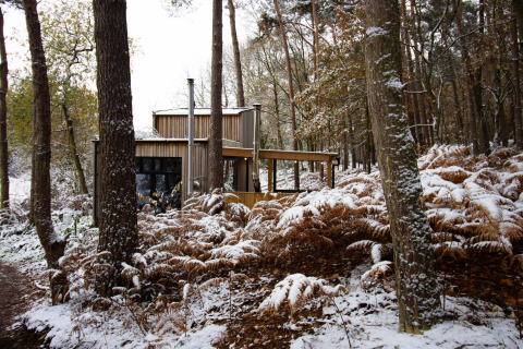 Cabaña Comfort Classic + hot tub de Cosy Cabins, situada en un bosque nevado de Limburgo, Bélgica.
