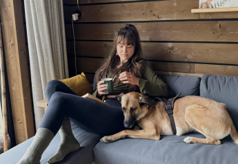 Donna che si rilassa con una tazza di tè e un cane su un divano grigio in una baita di legno a Limburg, Belgio.