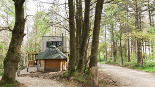 Acogedora cabaña Comfort Classic + sauna entre árboles en el bosque, con un camino de grava delante.