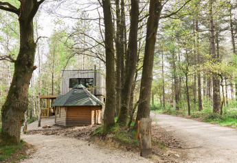 Komfortabler Classic-Plus-Sauna-Cottage im Wald mit Waldweg, Bäumen und gemütlicher Holzstruktur vorne.