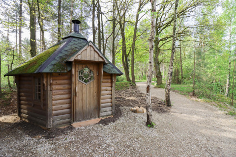 Cabaña Comfort Classic + sauna en Cosy Cabins, bosque de Limburg, Bélgica, rodeada de árboles verdes.