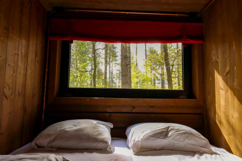 Udsigt fra sengen i Comfort Classic + sauna hytte ved Cosy Cabins, omgivet af skov i Limburg, Belgien.