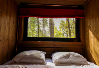 Blick aus dem Bett der Comfort Classic + Sauna Hütte bei Cosy Cabins im Wald von Limburg, Belgien.