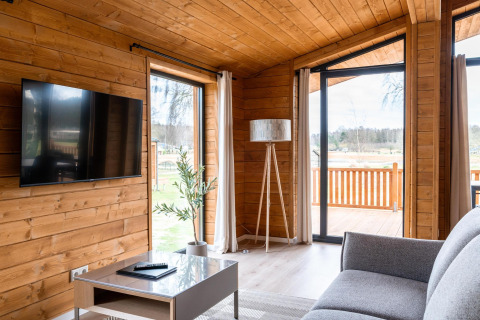 Salon moderne du Lakehouse Scandi à Wilsumer Berge, Allemagne, avec murs en bois, TV et vue naturelle.