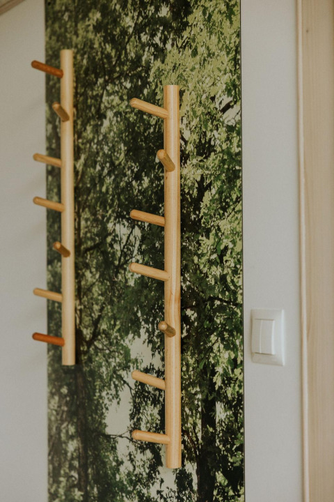 Dos percheros de madera en una pared con fondo de bosque en Cosy house, en Camping Si-Es-An, Países Bajos.