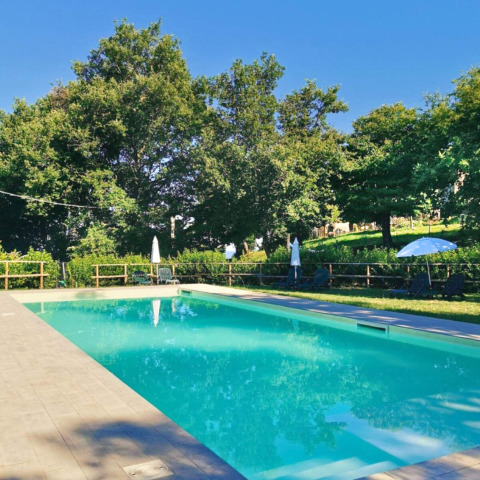 Schwimmbad mit Liegen, Sonnenschirmen und Bäumen im Camping Lucherino, Toskana, Italien.