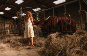 A girl in a summer dress feeds hay to cows inside a barn at Feather Down Rochefort-Ardenne, Belgium.