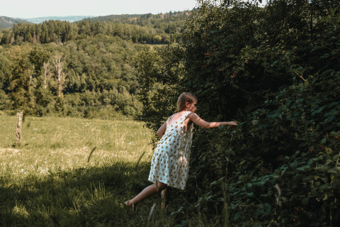 Niña con vestido de verano recoge bayas cerca de Nassogne, Bélgica, rodeada de prados y bosques verdes.