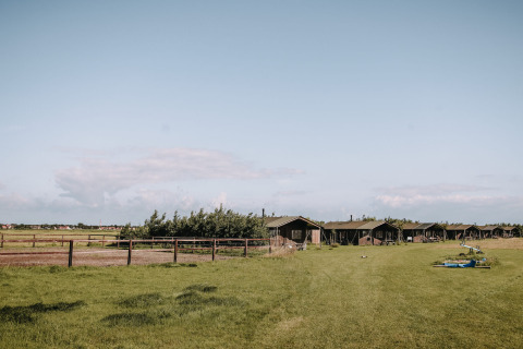 Parque vacacional Feather Down Boerderij Ameland en Friesland, Holanda, con campos verdes y cabañas al fondo.