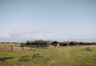 Vakantiepark Feather Down Boerderij Ameland in Friesland, Nederland, met groene velden en lodges op de achtergrond.