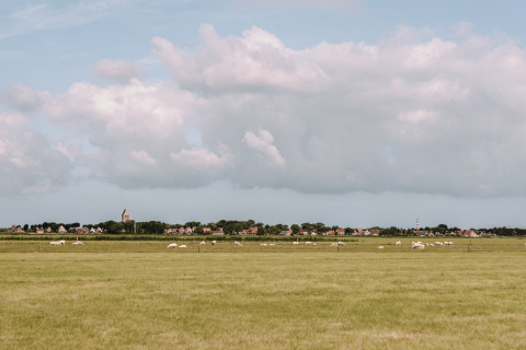 Udsigt over en eng med græssende får og en landsby i det fjerne, ved Feather Down Boerderij Ameland i Friesland.
