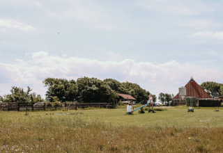 Children playing on a seesaw in a grassy field with farm buildings and a red roof at Feather Down Ameland.