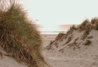 Sandklitter med strandgræs nær Hollum, Friesland, Holland, med udsigt over havet i blødt sollys.