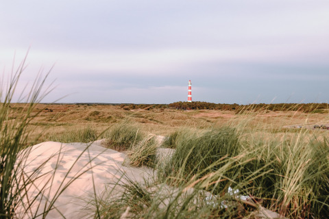 Vista sulle dune con un faro rosso e bianco in lontananza a Feather Down Boerderij Ameland, Frisia.