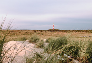 Udsigt over klitter med en rød-hvid fyrtårn i det fjerne ved Feather Down Boerderij Ameland, Friesland.
