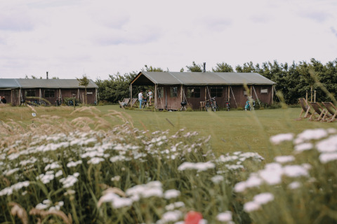 Tiendas glamping en Feather Down Boerderij Ameland, Friesland, Países Bajos, vistas desde un prado con flores.