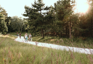 Quattro persone pedalano su una pista ciclabile tortuosa tra alberi e prati vicino a Hollum, Frisia, Paesi Bassi.