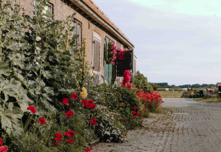 En landvej med blomster og en murstensbygning i nærheden af Hollum, Friesland, Holland, under en blå himmel.