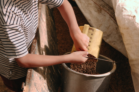 A child in a striped shirt pours animal feed into a bucket at Feather Down Boerderij Ameland, Friesland.