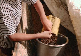 A child in a striped shirt pours animal feed into a bucket at Feather Down Boerderij Ameland, Friesland.